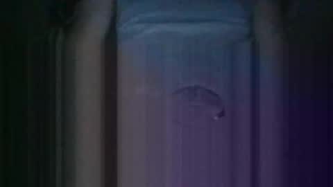 Kiss cocky online show from 10/11/25, 12:36