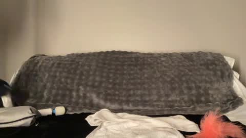 Haley Wood online show from 07/29/26, 07:28