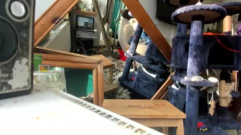 Snapshot of handncocknocum chatting on 03/09/25, 08:18 handncocknocum online show from 03/09/25, 08:18