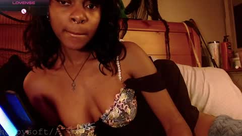 Snapshot of happysoft chatting on 02/28/25, 02:31 meatwad online show from 02/28/25, 02:31