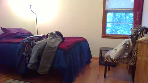 Snapshot of har5 chatting on 12/01/25, 10:26 Hardy-Har online show from 12/01/25, 10:26