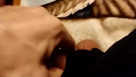 hardandhorny422 online show from 06/28/26, 01:44