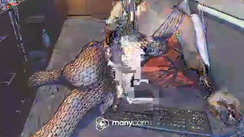 Snapshot of hardfucking_mistress chatting on 03/03/25, 12:48 Irina online show from 03/03/25, 12:48