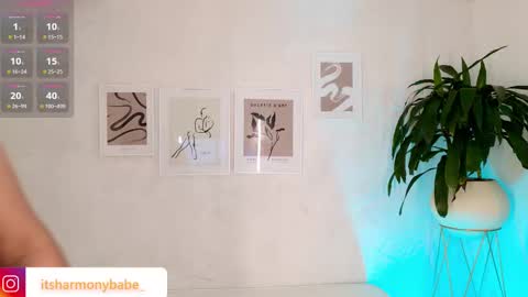 Snapshot of harmonybabe_ chatting on 11/08/25, 07:12 Harmony online show from 11/08/25, 07:12