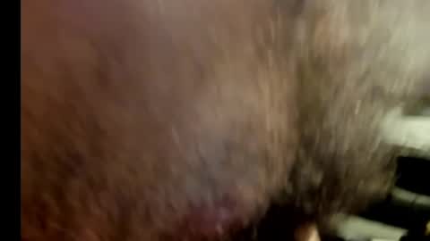 harry_banana online show from 01/17/25, 10:56