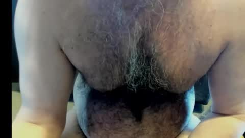 harry_banana online show from 01/28/25, 08:36