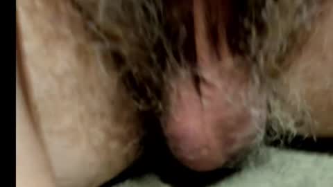 harry_banana online show from 02/01/25, 08:50