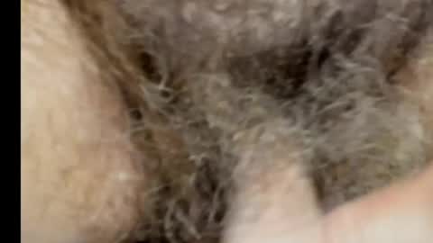 harry_banana online show from 03/07/25, 11:40