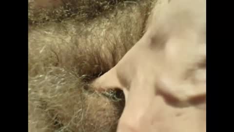 Snapshot of harry_banana chatting on 11/30/25, 03:27 harry_banana online show from 11/30/25, 03:27