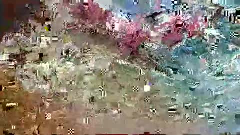 Snapshot of harv1983 chatting on 06/13/26, 10:29 Jordan83 online show from 06/13/26, 10:29