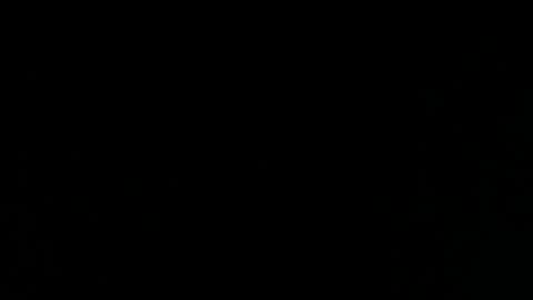 andres online show from 12/17/24, 09:07