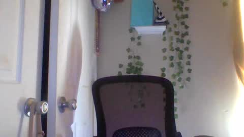 hawtchoc37 online show from 02/26/26, 09:36
