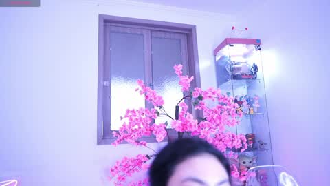 Snapshot of hayami_dai chatting on 04/03/26, 10:19 Hayami Dai online show from 04/03/26, 10:19