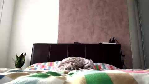 Snapshot of hayle_emmie chatting on 10/22/25, 08:36 Hayle online show from 10/22/25, 08:36