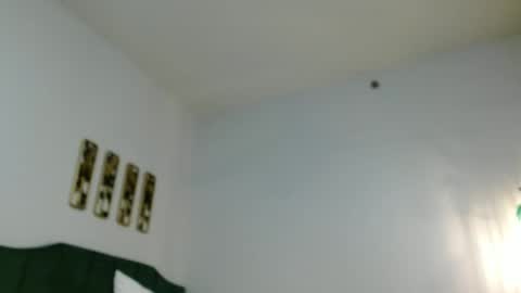 Snapshot of hazel_skye chatting on 12/29/24, 01:49 Hazel online show from 12/29/24, 01:49