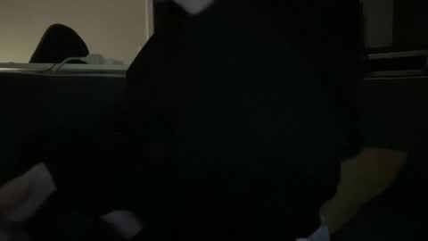 Snapshot of hchappel19 chatting on 10/01/25, 08:15 hchappel19 online show from 10/01/25, 08:15