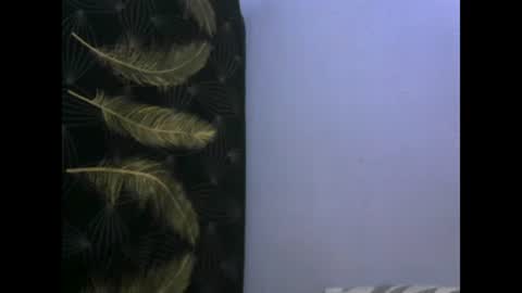 Snapshot of healyn chatting on 01/27/25, 03:47 healyn online show from 01/27/25, 03:47