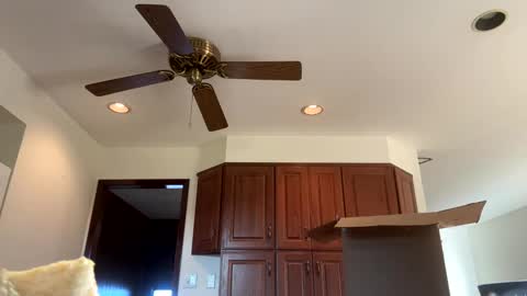 heatwavee online show from 11/04/25, 12:59