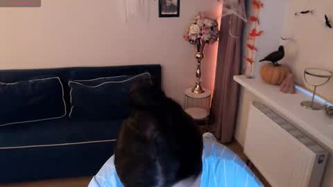Snapshot of heaven_chloe chatting on 11/02/25, 01:35 Heaven girl online show from 11/02/25, 01:35