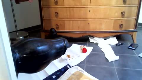 Snapshot of helisporty chatting on 11/14/25, 08:13 helisporty online show from 11/14/25, 08:13