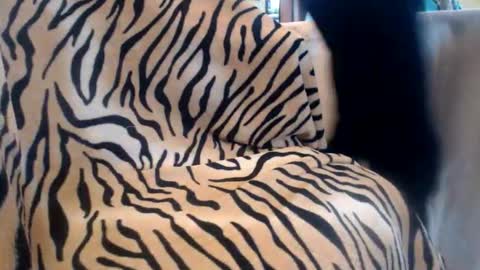 Snapshot of helvella chatting on 02/13/26, 10:44 Helvell online show from 02/13/26, 10:44