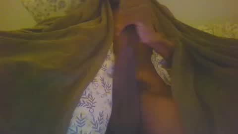 hemlocks online show from 03/02/25, 03:59