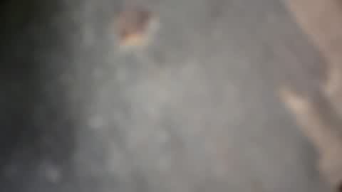 herletigre12345 online show from 10/18/25, 05:32