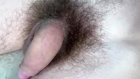 Snapshot of hey_arnold chatting on 01/29/25, 09:17 Arnold online show from 01/29/25, 09:17