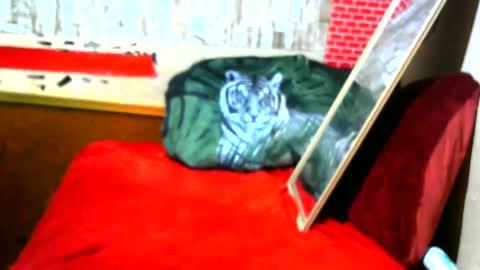 hhhjnf1 online show from 09/17/25, 07:10