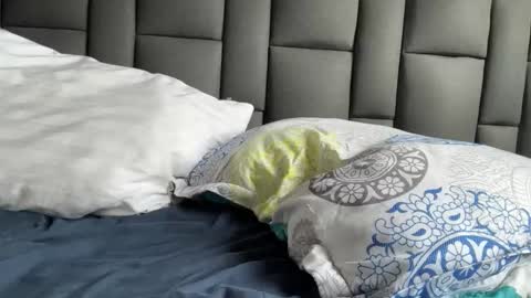 Snapshot of highlatin_guys chatting on 09/21/25, 08:54 Terry and E online show from 09/21/25, 08:54