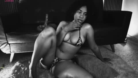   - 29p online show from 06/05/26, 08:58