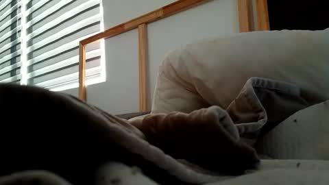 Snapshot of hnkkk88888 chatting on 11/06/25, 12:17 Fucker online show from 11/06/25, 12:17