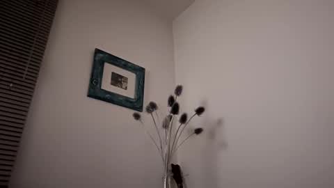 hoddieee online show from 01/26/25, 07:41
