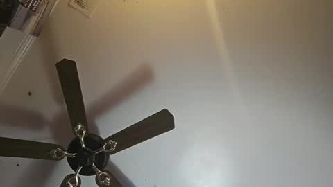 Snapshot of hoglegg99384194 chatting on 11/02/25, 11:01 hoglegg99384194 online show from 11/02/25, 11:01