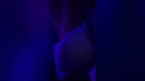 Snapshot of hollyquinniscute chatting on 12/16/25, 08:58 Brat online show from 12/16/25, 08:58