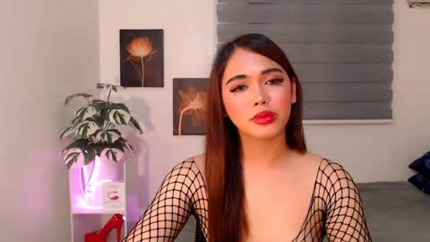 hollywoodstareme online show from 07/11/26, 08:44