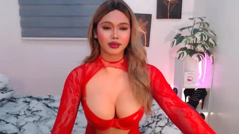 hollywoodstareme online show from 08/03/26, 06:33