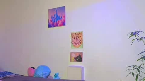      online show from 05/27/26, 11:24