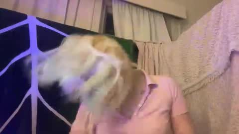 Emi Rose online show from 05/01/26, 02:16