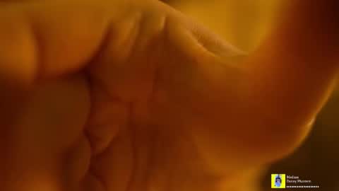 Snapshot of horneyjozy chatting on 11/07/25, 06:52 Horney Jozy online show from 11/07/25, 06:52