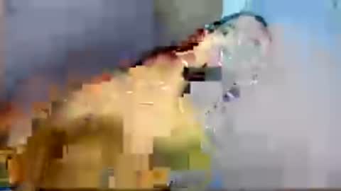 Althea Wilson online show from 07/08/26, 06:29