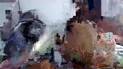 horny and daring online show from 06/06/26, 06:34