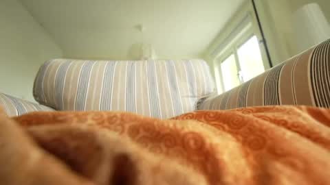 horny_edgucated online show from 05/03/26, 01:17