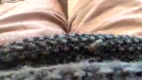 Snapshot of hornyallthetime6969696969 chatting on 01/18/26, 02:43 Tiny cock online show from 01/18/26, 02:43
