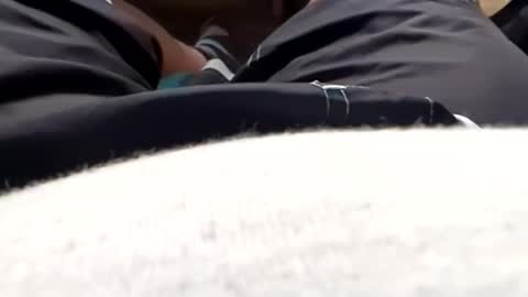 Snapshot of hornyallthetime6969696969 chatting on 05/17/26, 11:17 Tiny cock online show from 05/17/26, 11:17