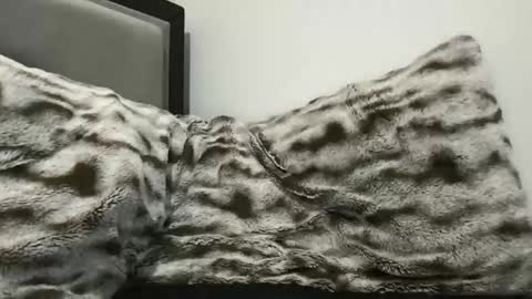 Snapshot of hornycumsh0t chatting on 11/03/25, 01:40 cumsh0tking online show from 11/03/25, 01:40