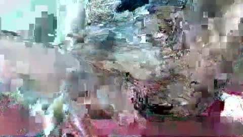 hornydrop_ online show from 09/30/25, 11:15