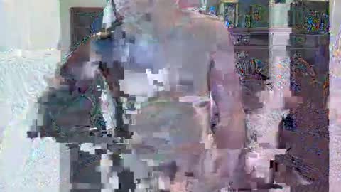 HornyGringo online show from 11/22/25, 03:27