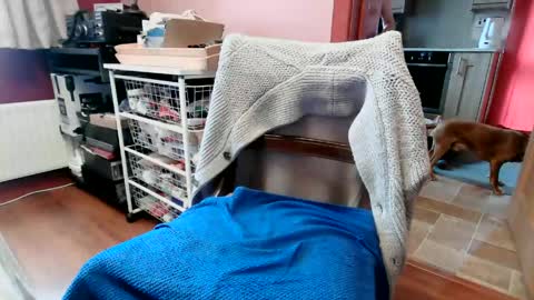hornypenis127 online show from 06/06/26, 09:14