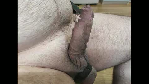 Snapshot of hornyrandy1 chatting on 02/04/25, 03:47 hornyrandy online show from 02/04/25, 03:47